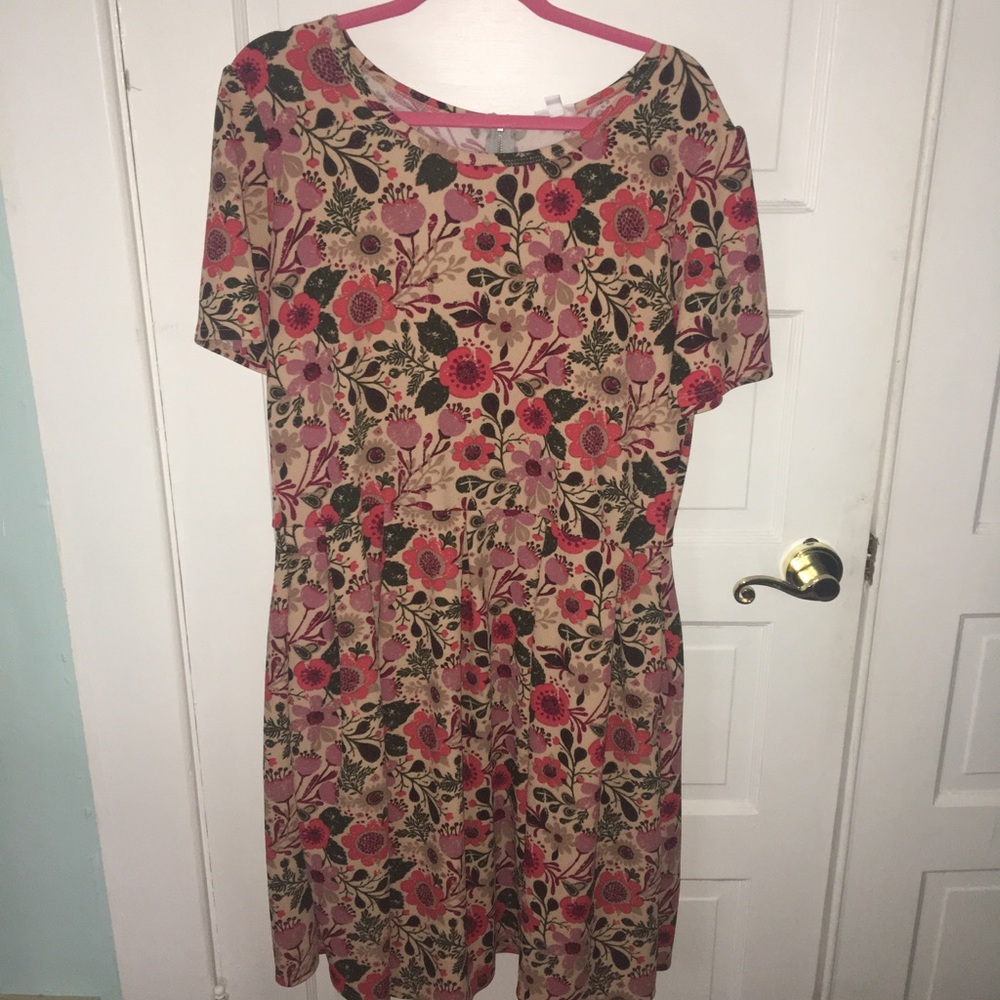 LuLaRoe Amelia dress